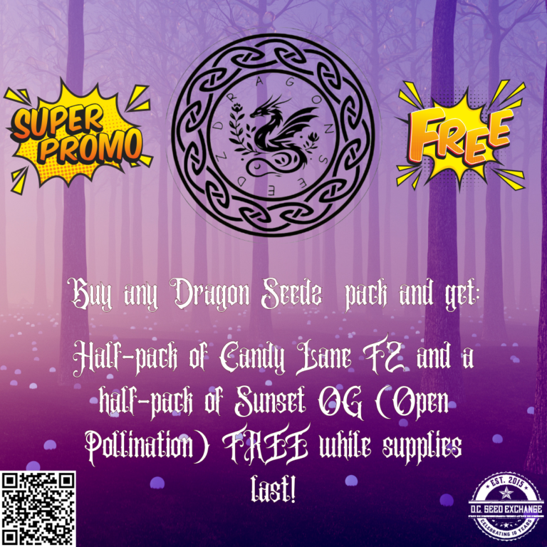 Dragon Seedz Promo IG Template v2 (1)