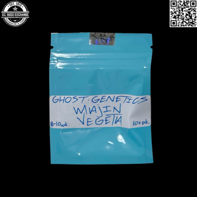 Ghost Genetics Majin Vegeta Front IG