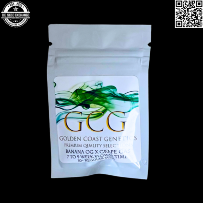 Golden Coast Genetics Banana OG x Grape Gas Front IG