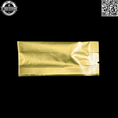 Golden Coast Genetics Ghetto Blaster Back2 IG