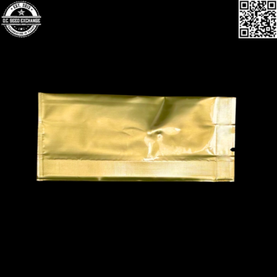 Golden Coast Genetics Ghetto Blaster Back3 IG