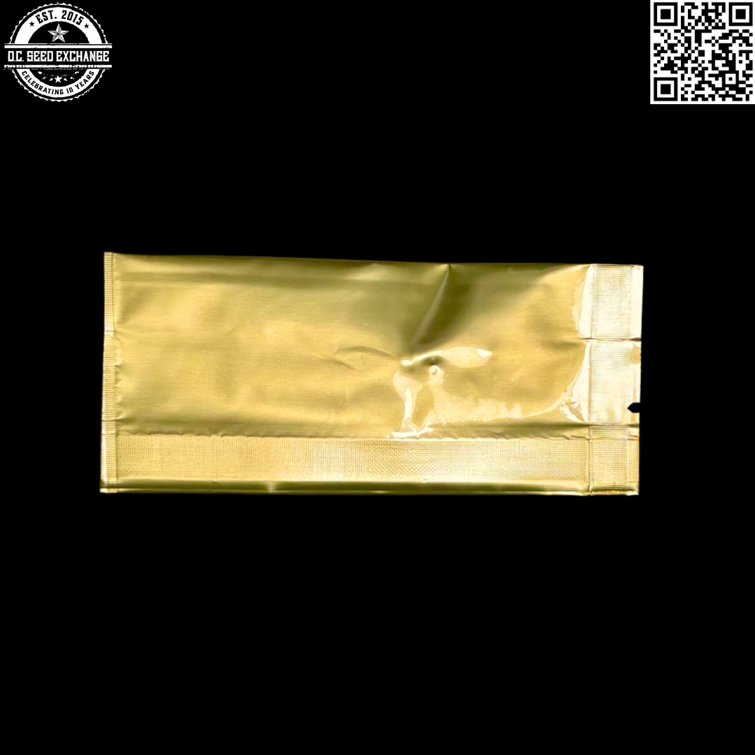 Golden Coast Genetics Ghetto Blaster Back3 IG