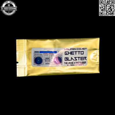 Golden Coast Genetics Ghetto Blaster Front3 IG