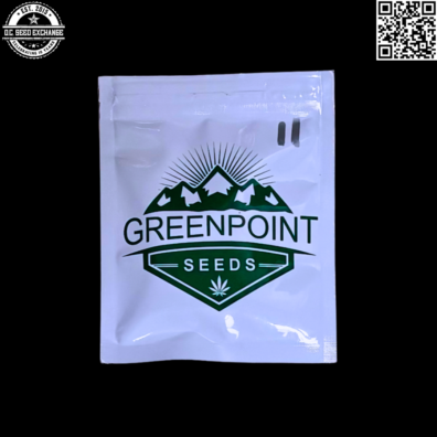 Greenpoint Seeds Shuteye x Star Dawg Back IG