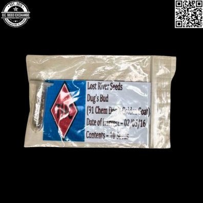 Lost River Seeds Dugs Bud Back IG