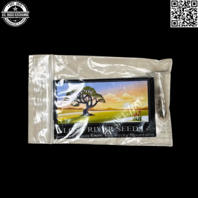 Lost River Seeds Dugs Bud Front IG