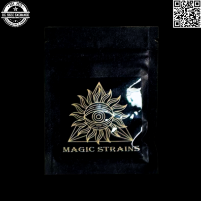 Magic Strains Witch Doctor Back3 IG