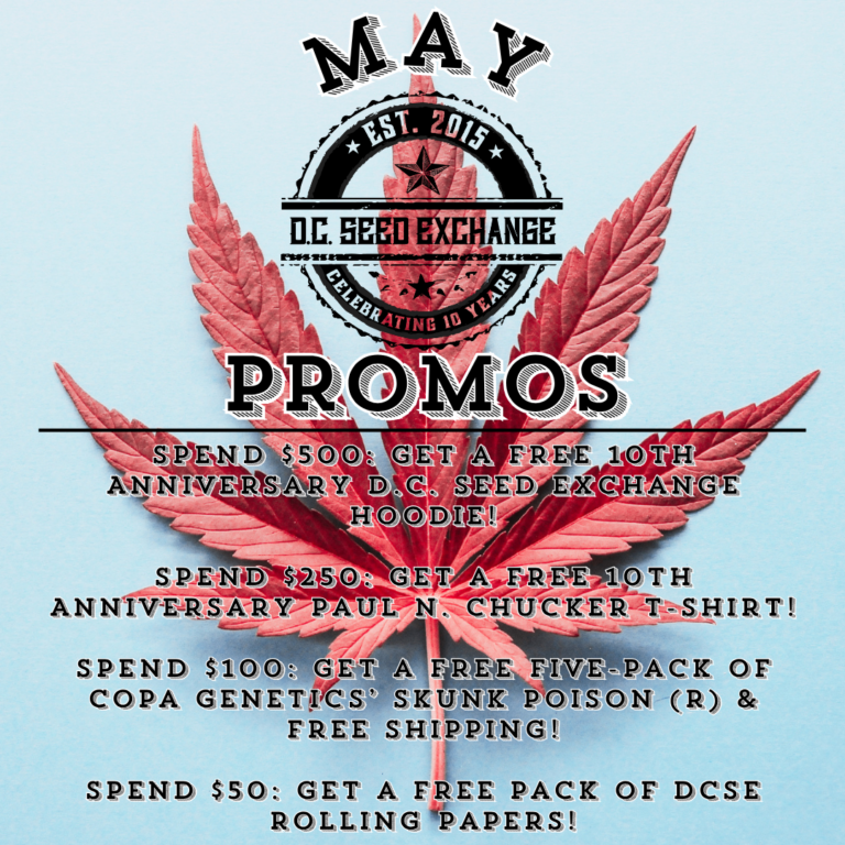 May 2026 Promos v3