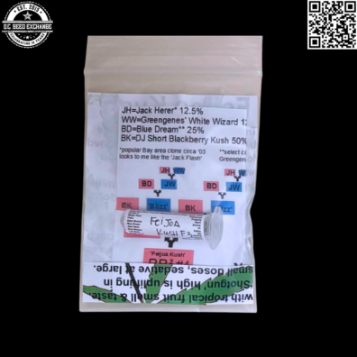 Mr Greengenes Feijoa Kush F3 Back IG