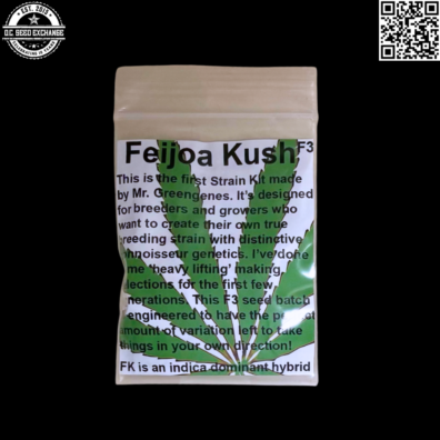 Mr Greengenes Feijoa Kush F3 Front IG