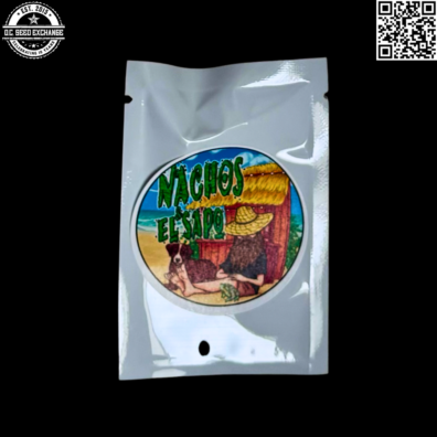 Nachos and El Sapo Jambyl Kazakhstan LR x Otto Graham Back4 IG