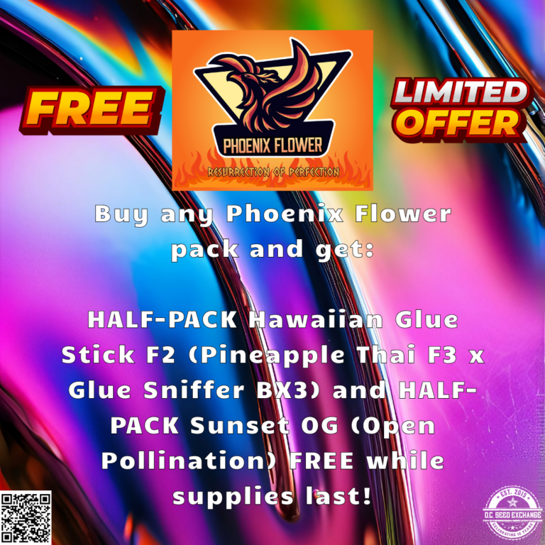 Phoenix Flower Promo IG v2