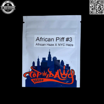 Tog Dawg Seeds African Piff #3 Front IG