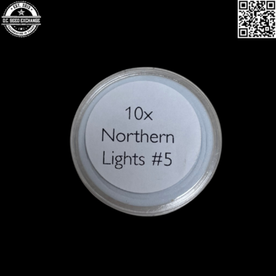 Authentic Genetics Northern Lights #5 Back