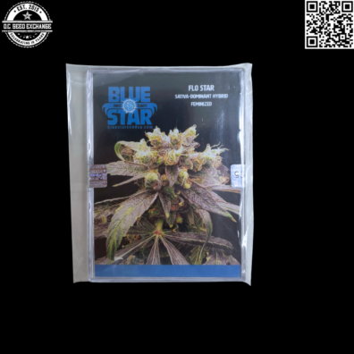Blue Star Seed Co Flo Star Front