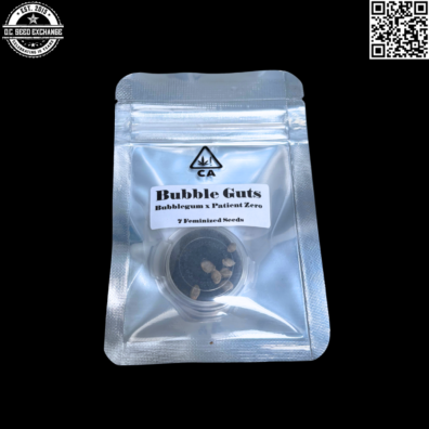 CSI Humboldt Bubble Guts Front IG