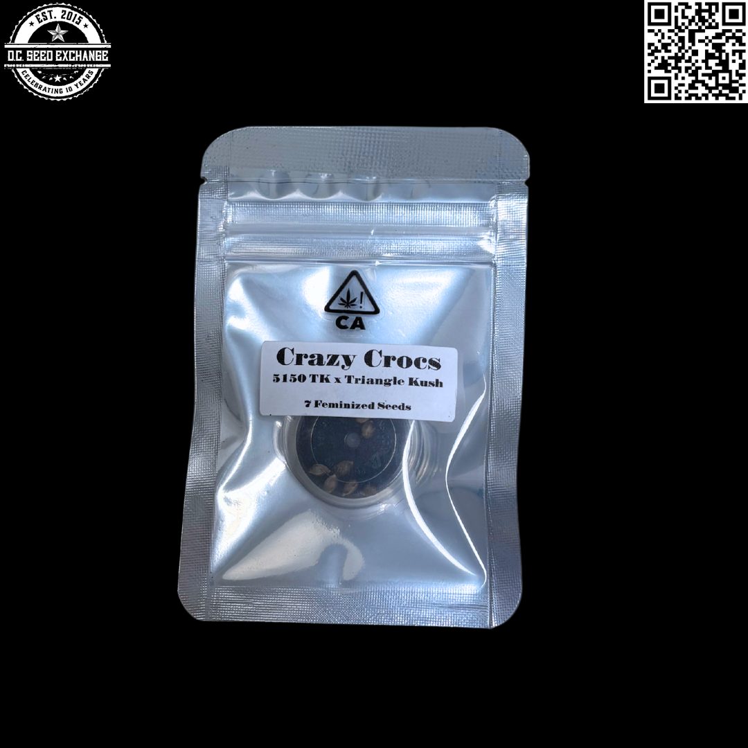 CSI Humboldt Crazy Crocs (5150 Triangle Kush x Triangle Kush) 7 Feminized Seeds