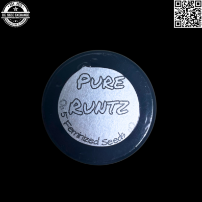 Cannaventure Seeds Pure Runtz Front