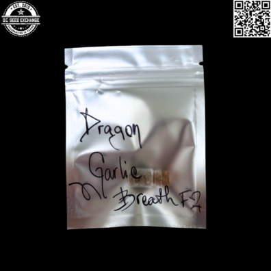 Gardian of the Lost Terps Dragon Garlic Breath F2 Back IG