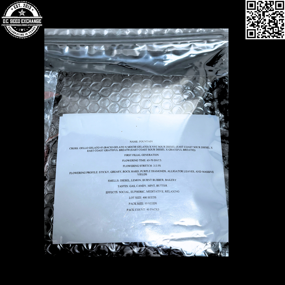 Genetic Designer Fountain Back CU IG