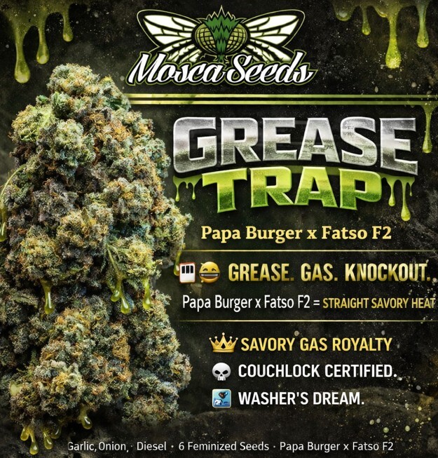 Grease Trap IG