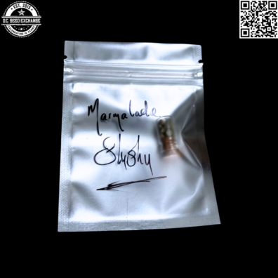 Guardian of the Terps Marmalade Slushy Front IG