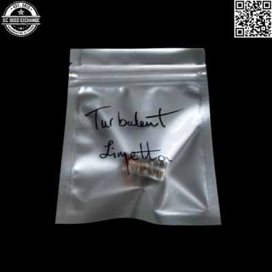 Guardian of the Terps Turbulant Limonetta Front IG
