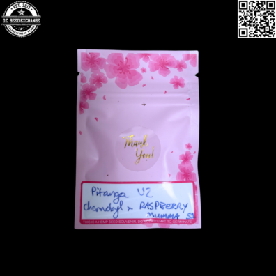 Heavy Dayze Genetics Pitanga U2 Chernobyl x Raspberry Mamma S1 Front