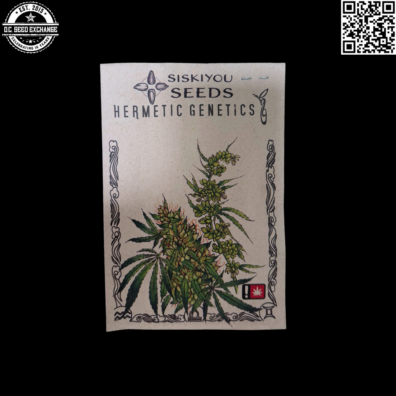 Hermetic Genetics Nepal x Purple Durban Front IG