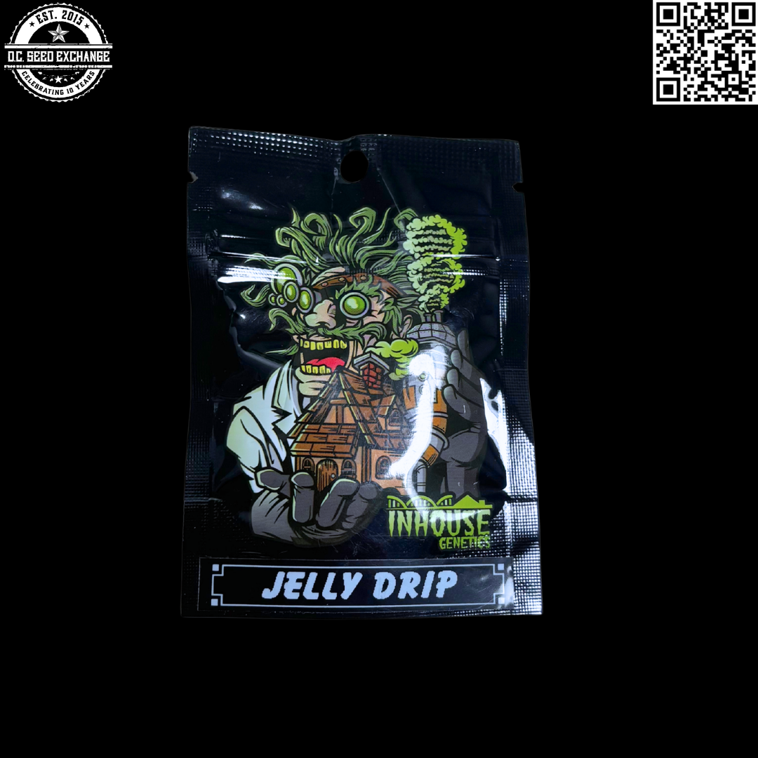 In House Genetics Jelly Drip (Platinum Jelly x Slurricane #23) 10 Feminized Seeds