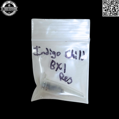 Mass Medical Strains Indigo Child BX1 IG