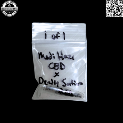 Mass Medical Strains Medi Haze CBD x Deadly Sativa Front IG
