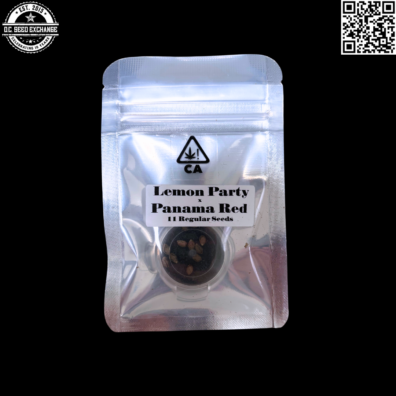 PIRATES OF THE EMERALD TRIANGLE Lemon Party Panama Red Front IG
