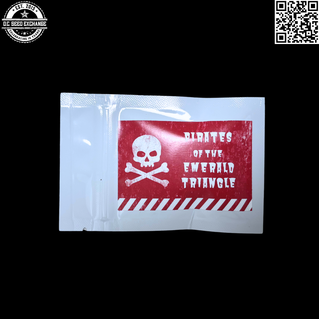 Pirates of the Emerald Triangle Northern Lights #5 Back IG