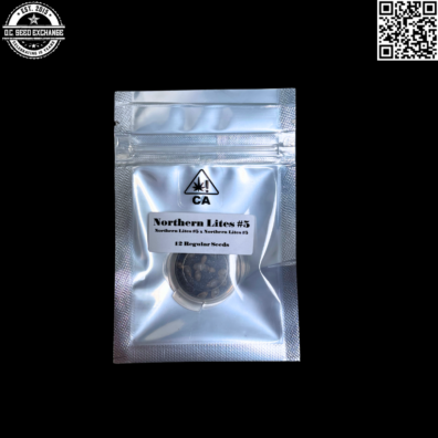 Pirates of the Emerald Triangle Northern Lights #5 Front IG