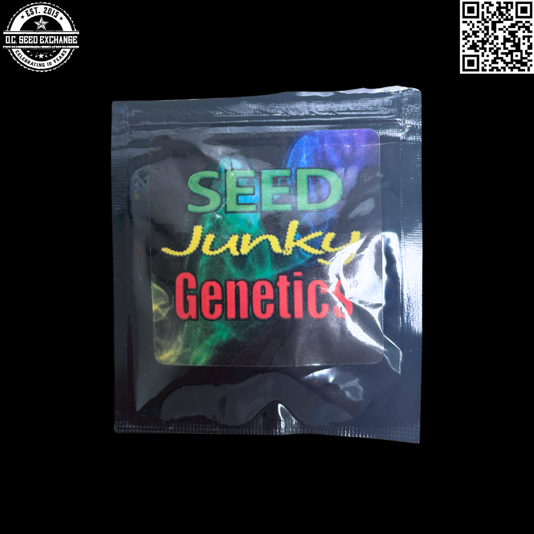 Seed Junky Genetics Wedding Cake x Triangle Kush Bx3 Back