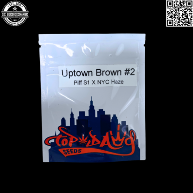Top Dawg Uptown Brown #2 Front IG