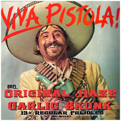 Viva Pistola IG