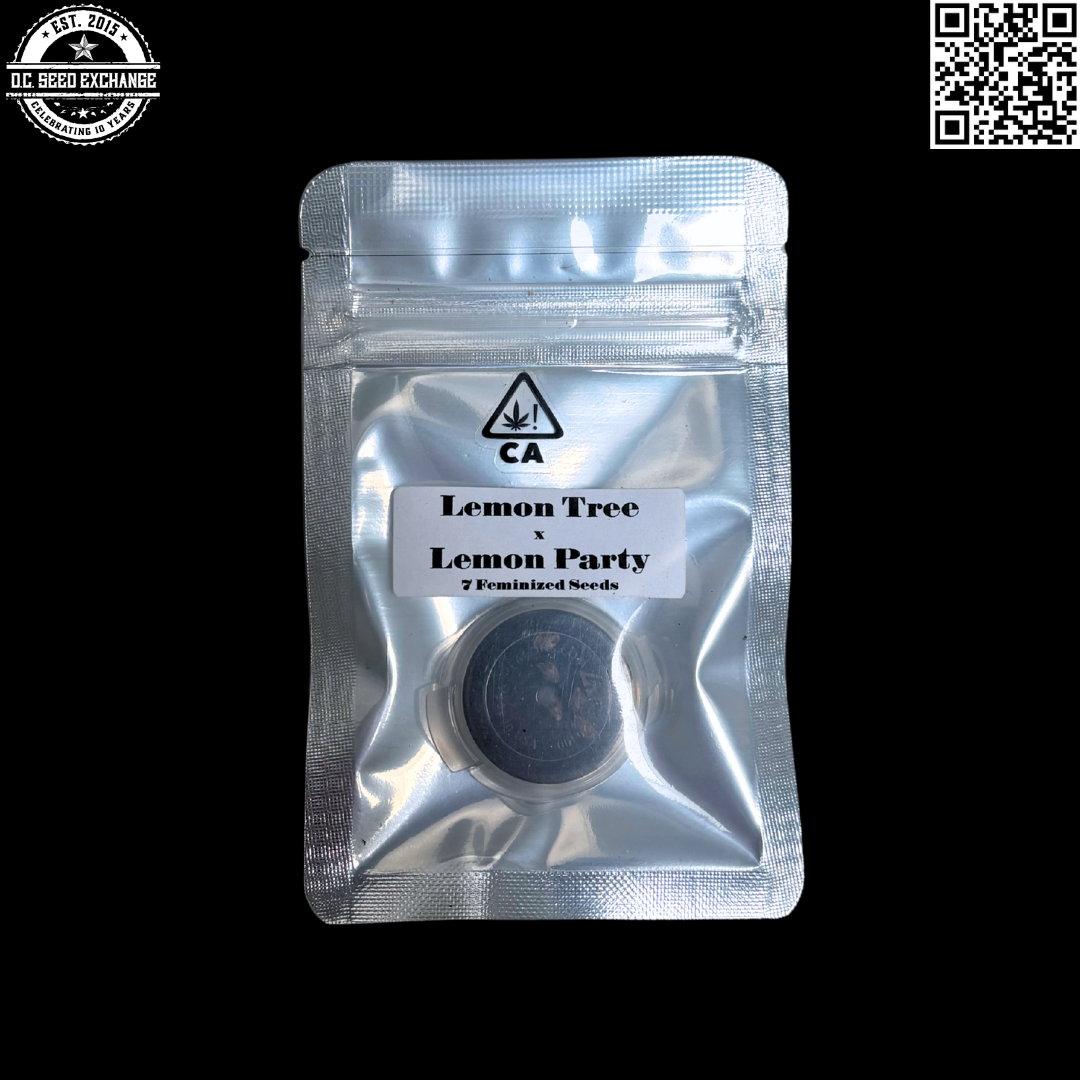 CSI Humboldt Lemon Tree x Lemon Party 7 Feminized Seeds