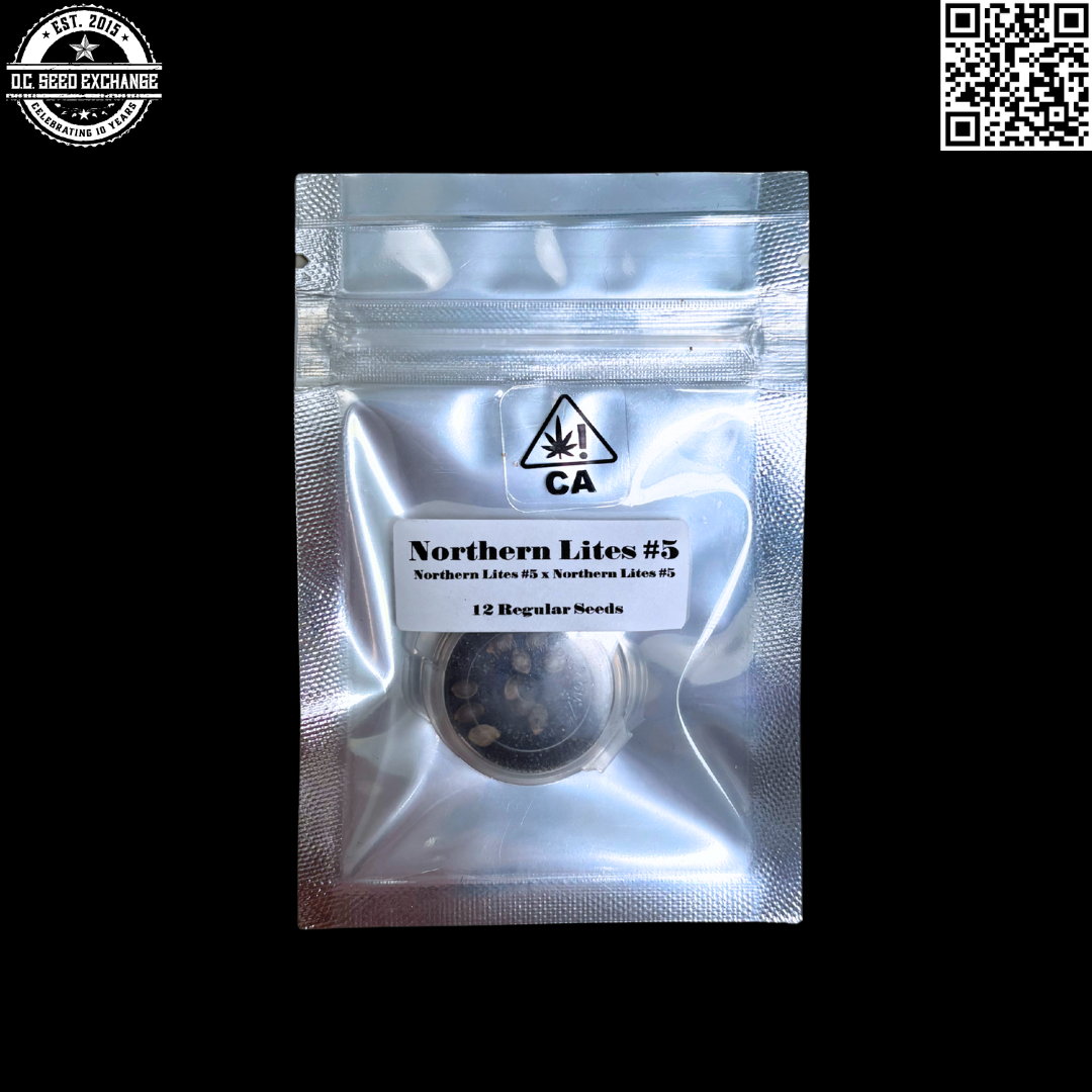 CSI Humboldt Pirates of the Emerald Triangle Northern Lites #5 12 Regular Seeds