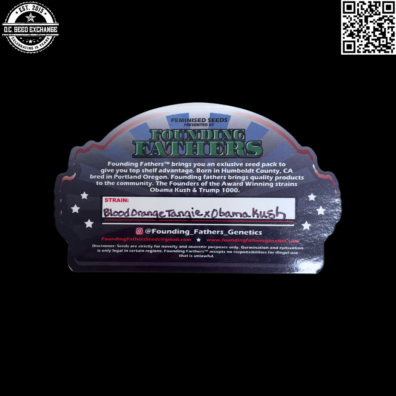 Founding Fathers Blood Orange Tangie x Obama Kush 8 Feminized Seeds
