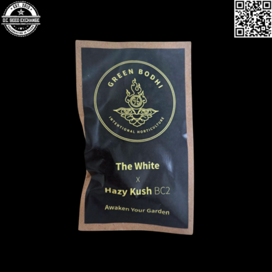 Green Bodhi The White x Hazy Kush BC2 5 Regular Seeds
