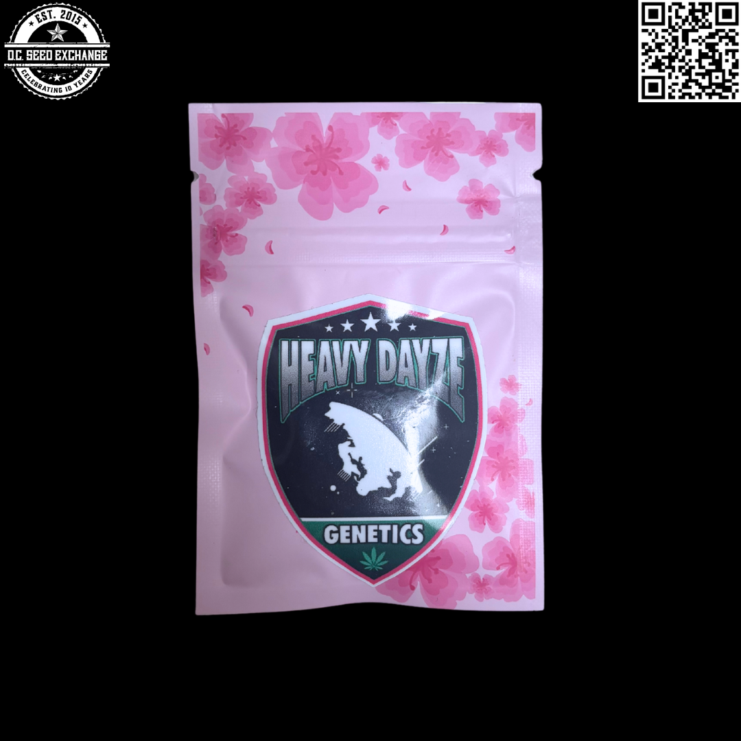 Heavy Dayze Genetics Kir Royale v2 (Mandarin Cookies #3 x Raspberry Mumma Queen) 8 Feminized Seeds - Image 2