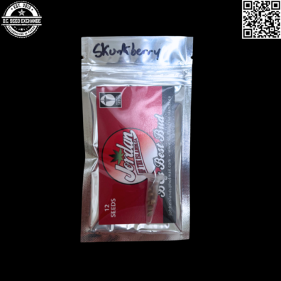 Jordan of the Islands Skunkberry (Blueberry x Purple Skunk) 12 Regular Seeds