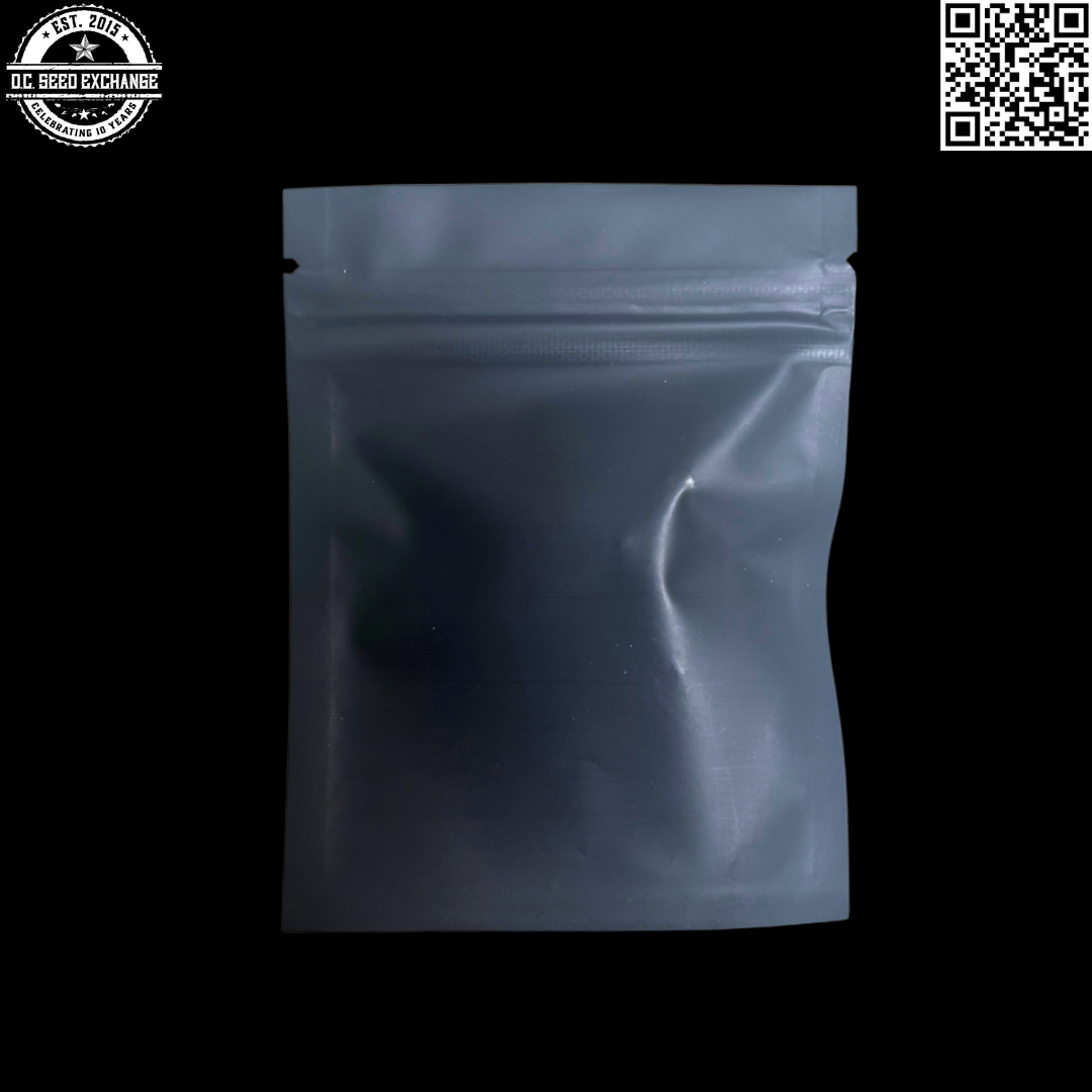 Landrace Bureau Guardian of the Lost Terps Siberian Tropical Party 10 Regular Autoflower Seeds - Image 2