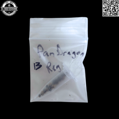 Dragon Flame Genetics Pan Dragon (Panama Powerhouse x Dragons Stash) 13 Regular Seeds