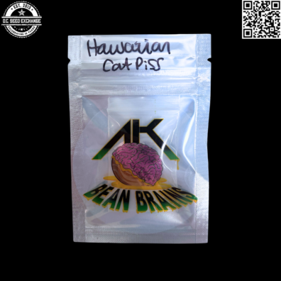 AK Bean Brains Hawaiian Cat Piss (Cat Piss x Northern Lights #1) 10 Regular Seeds