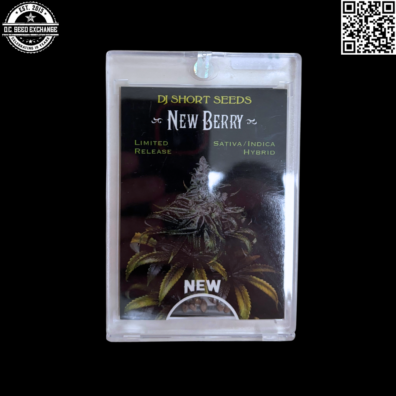 DJ Short Seeds New Berry F5 11 Regular Seeds