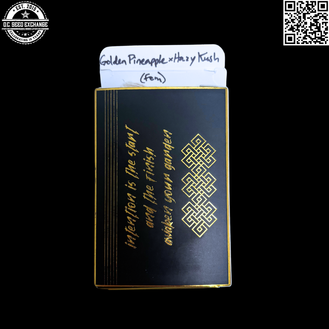 Green Bodhi Golden Pineapple x Hazy Kush 5 Feminized Seeds