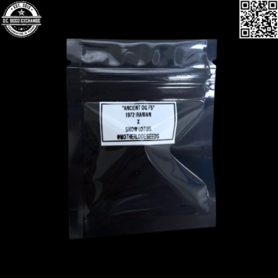 Motherlode Seeds Ancient OG F5 (1972 Iranian x Snow Lotus) 12 Regular Seeds